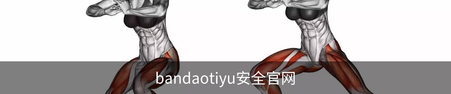 bandaotiyu安全官网
